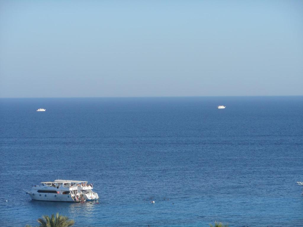 عايدة 2*