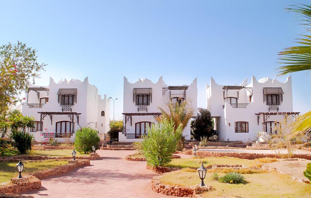عايدة 2*