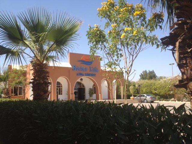 عايدة